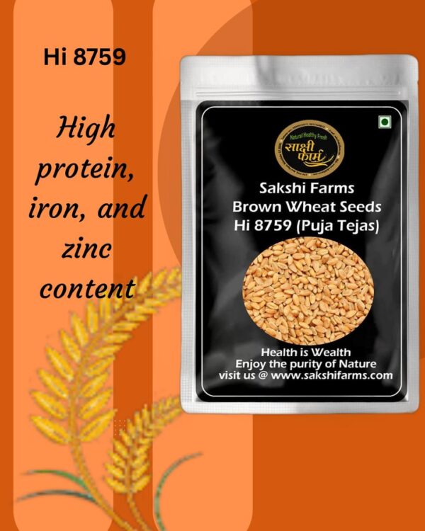 Brown Wheat Seeds | Pure Hi 8759 (Puja Tejas) Wheat Seeds Gehu Ka Bheej | 10 KG - Image 4