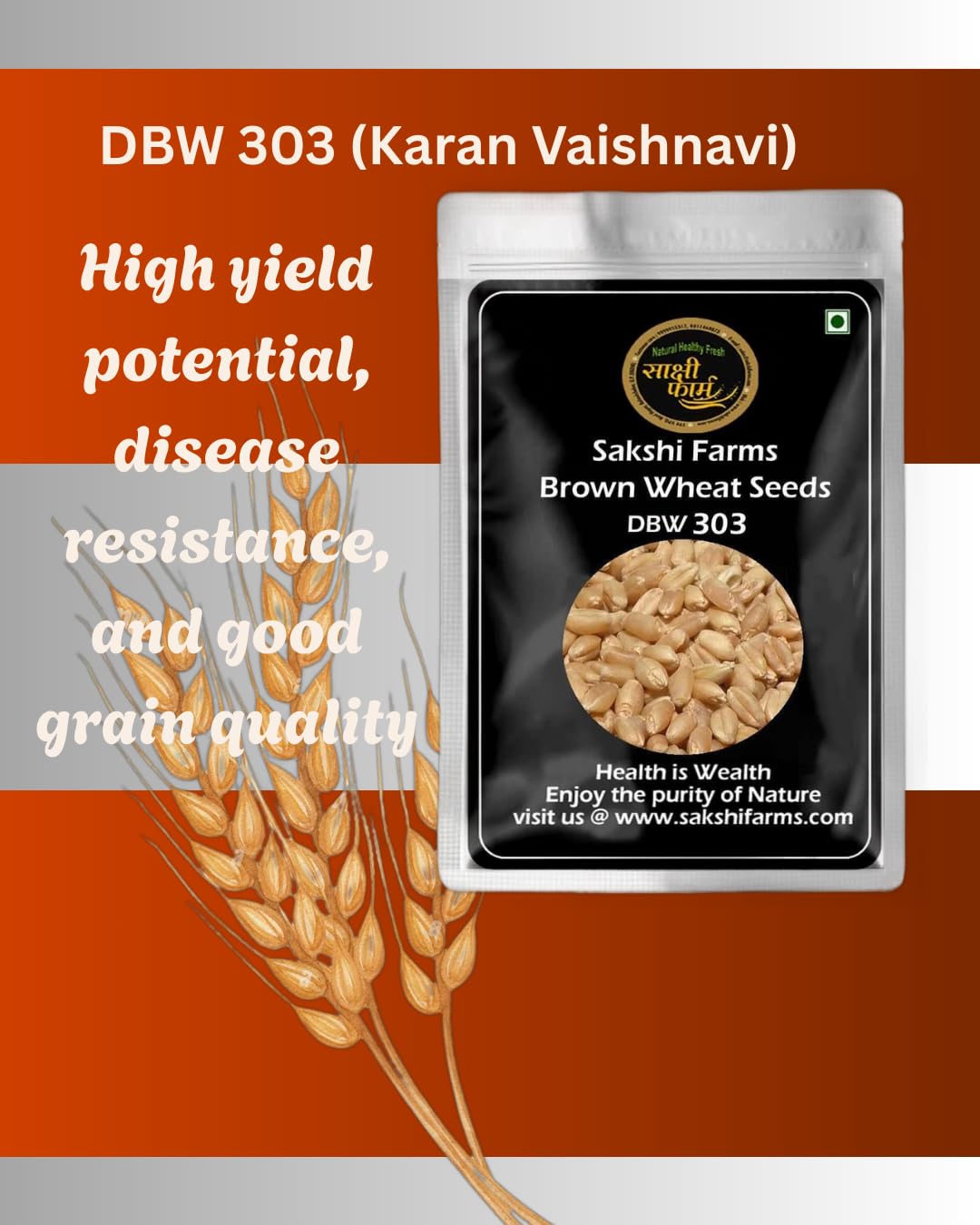 Brown Wheat Seeds | Pure DBW 303 Wheat Seeds Gehu Ka Bheej | 20 KG - Image 4