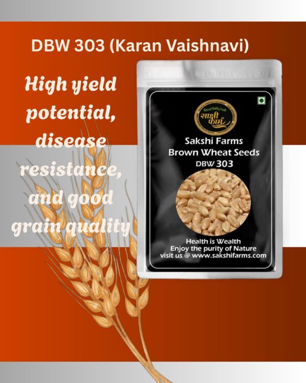 Brown Wheat Seeds | Pure DBW 303 Wheat Seeds Gehu Ka Bheej | 10 KG - Image 3