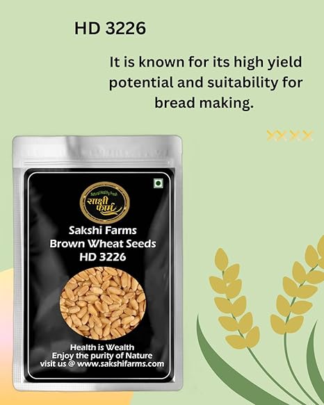 Brown Wheat Seeds | Pure HD 3226 Wheat Seeds Gehu Ka Bheej | 20 KG - Image 3