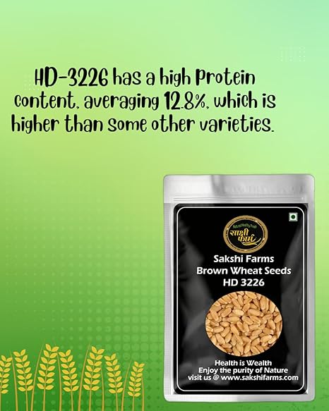 Brown Wheat Seeds | Pure HD 3226 Wheat Seeds Gehu Ka Bheej | 20 KG - Image 4