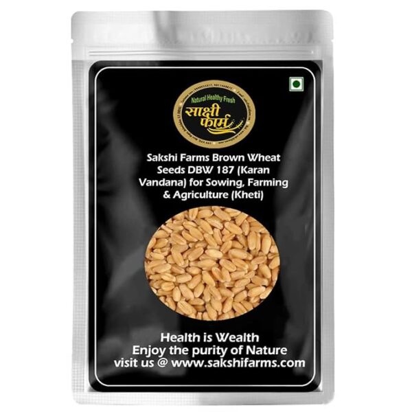 Brown Wheat Seeds Pure Pusa Karan Vandana (DBW 187) Wheat Seeds Gehu Ka Bheej | 10 KG