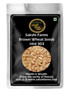 Brown Wheat Seeds | Pure DBW 303 Wheat Seeds Gehu Ka Bheej | 10 KG
