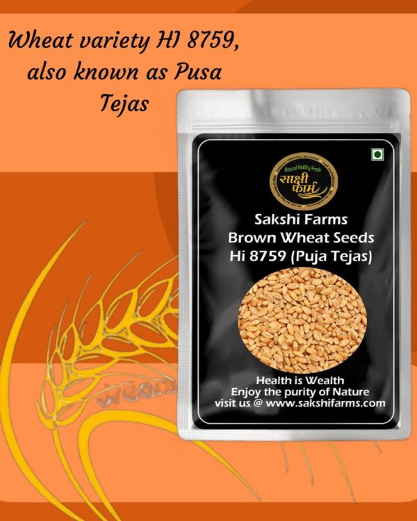 Brown Wheat Seeds | Pure Hi 8759 (Puja Tejas) Wheat Seeds Gehu Ka Bheej | 20 KG - Image 4