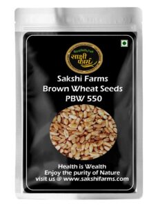 Brown Wheat Seeds | PBW UNNAT 550 | Pure PBW UNNAT 550 Wheat Seeds Gehu Ka Bheej | 10 KG