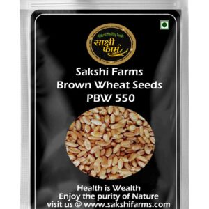 Brown Wheat Seeds | PBW UNNAT 550 | Pure PBW UNNAT 550 Wheat Seeds Gehu Ka Bheej | 10 KG