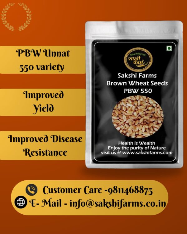 Brown Wheat Seeds | PBW UNNAT 550 Wheat Seeds - Pure PBW 550 Wheat Seeds Gehu Ka Bheej | 20 KG - Image 5