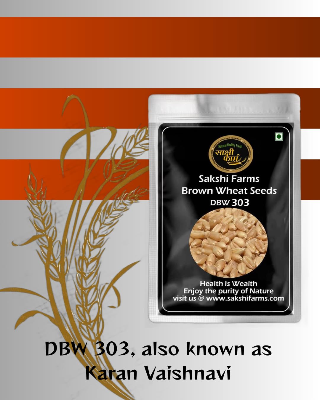 Brown Wheat Seeds | Pure DBW 303 Wheat Seeds Gehu Ka Bheej | 20 KG - Image 2