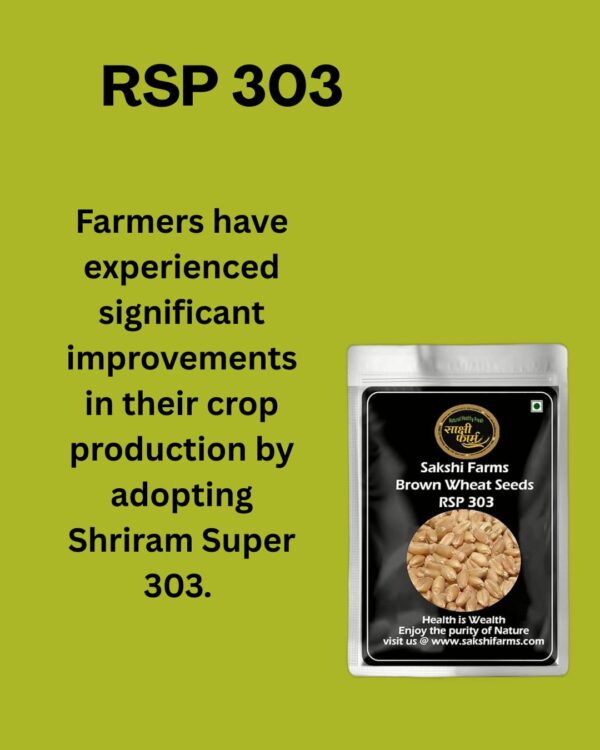Brown Wheat Seeds | RSP 303 | Pure RSP 303 Wheat Seeds Gehu Ka Bheej | 10 KG - Image 4