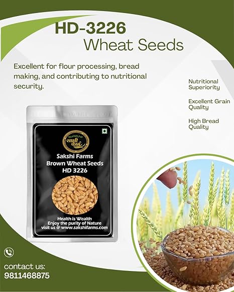 Brown Wheat Seeds | Pure HD 3226 Wheat Seeds Gehu Ka Bheej | 20 KG - Image 5