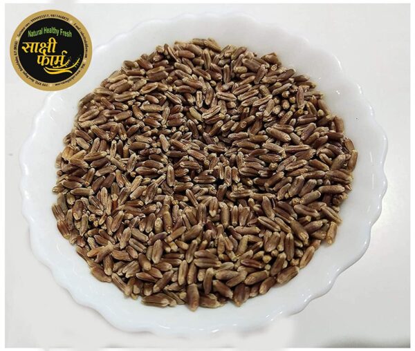 Black Wheat Seeds | Pure Black Wheat Seeds Kala Gehu ka beej | 20 KG - Image 2