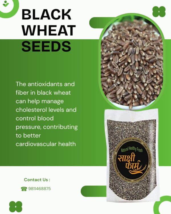 Black Wheat Seeds | Pure Black Wheat Seeds Kala Gehu ka beej | 20 KG - Image 4